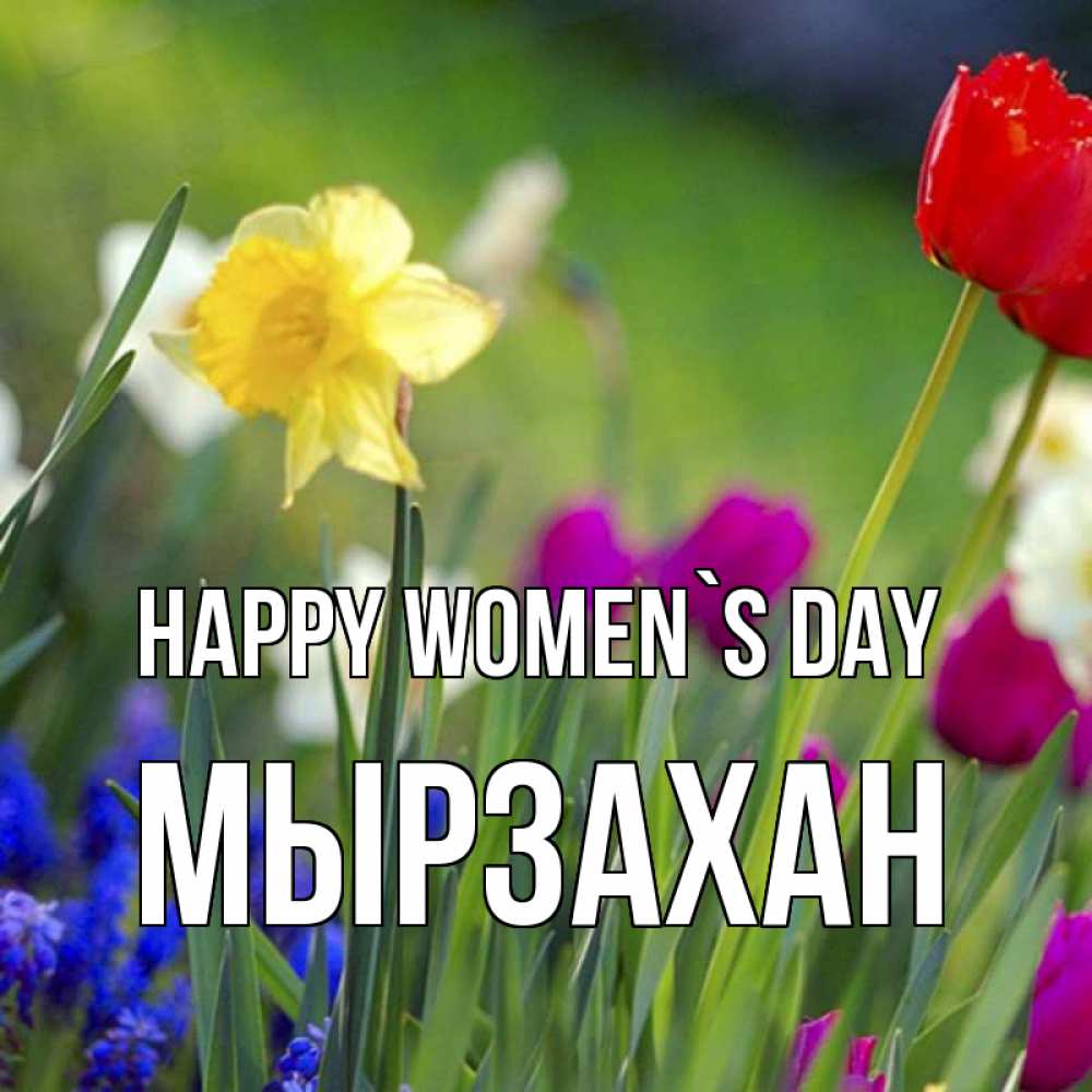 Greetings card с именем, Мырзахан happy women`s day международный женский день 3 Greetings with text for free download 